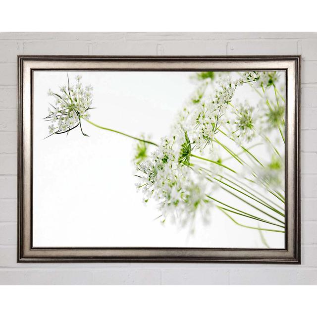 White On White Flowers - Single Picture Frame Art Prints Brayden Studio Size: 21cm H x 29.7cm W x 1.5cm D on Productcaster.