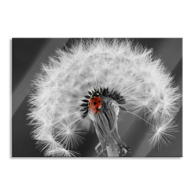 Beautiful Ladybird on a Dandelion - Unframed Photograph on Glass Brayden Studio Size: 70cm H x 100cm W x 0.4cm D on Productcaster.