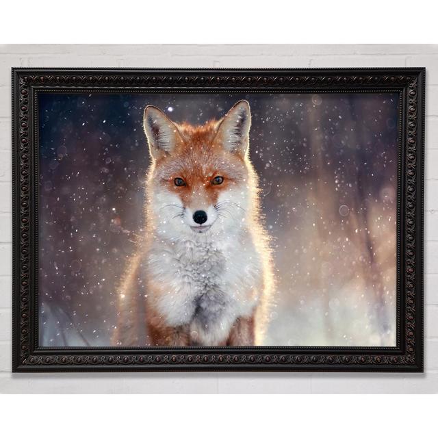 Fox In Winter Framed Print Bright Star Size: 59.7cm H x 84.1cm W on Productcaster.