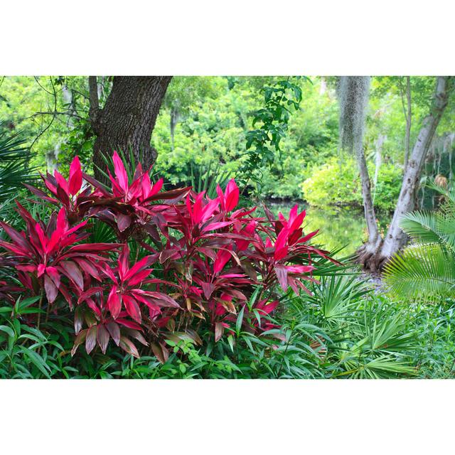 Brightly Contrasted Foliage von Marje - Druck Marlow Home Co. Größe: 60 cm H x 40 cm B on Productcaster.