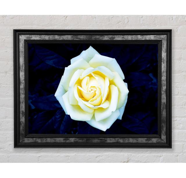 Yellow Rose On Blue Leaves - Print Bright Star Size: 84.1cm H x 142.2cm W x 8cm D on Productcaster.