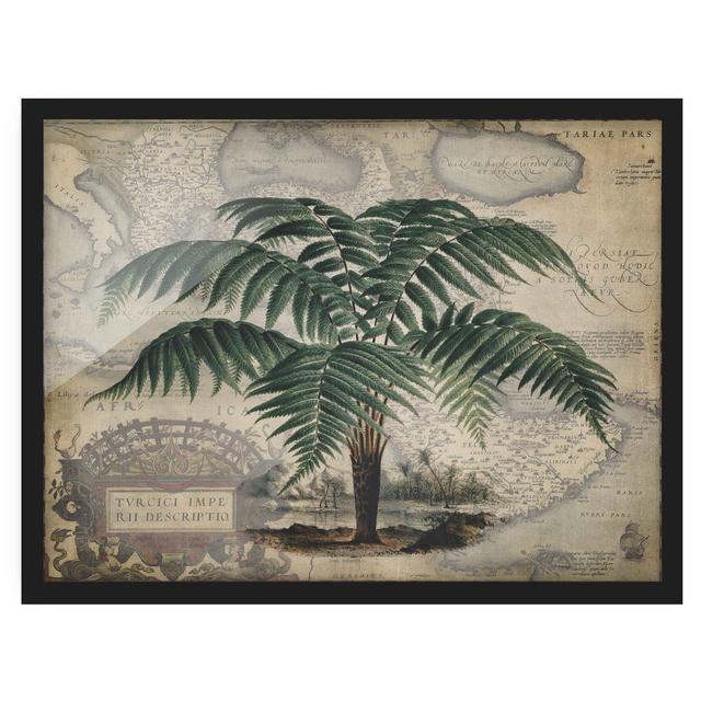 Vintage Collage - Palm Tree and World Map - Picture Frame Graphic Art Bay Isle Home Size: 70cm H x 100cm W x 2cm D, Frame Option: Black on Productcaster.