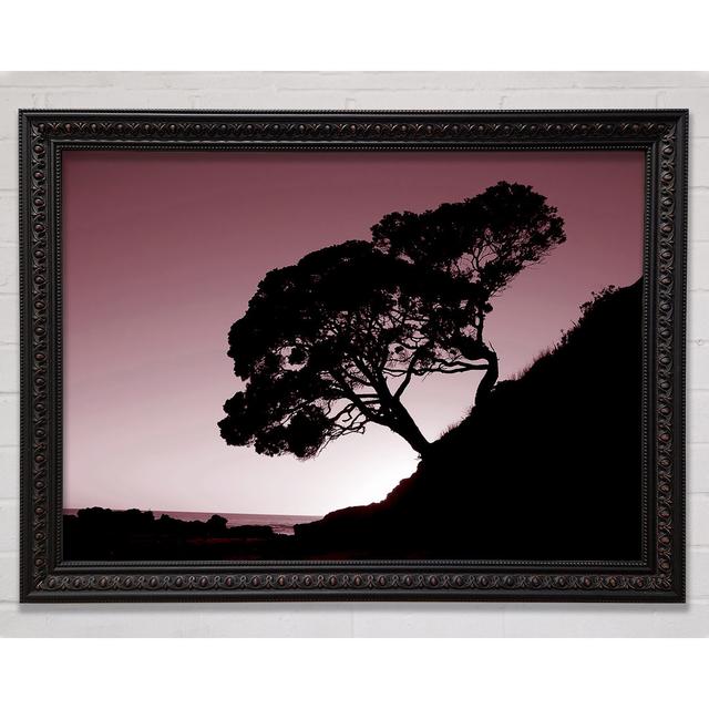 Single Picture Frame Art Prints Bright Star Size: 29.7cm H x 42cm W on Productcaster.