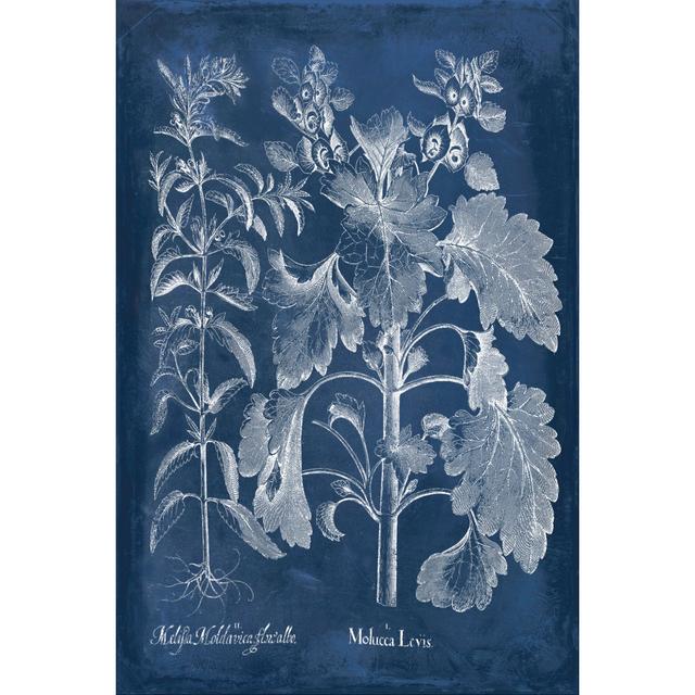 Besler Leaves In Indigo I by Vision Studio - Wrapped Canvas Print August Grove Size: 30cm H x 20cm W on Productcaster.