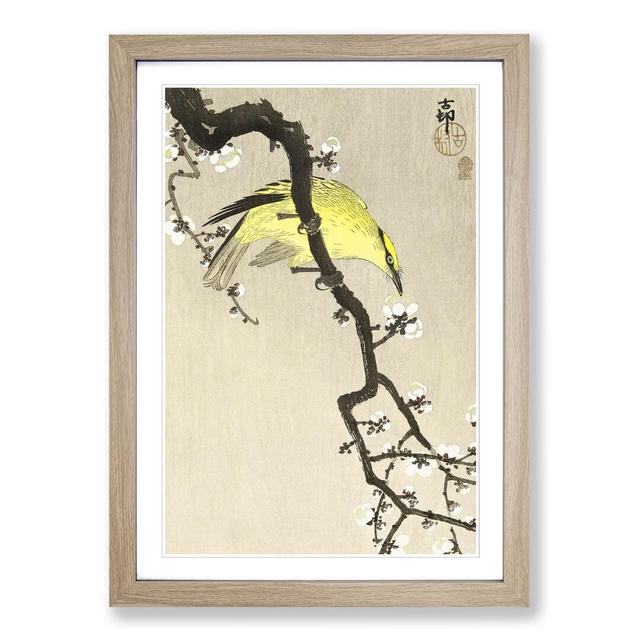 Chinese Oriole Bird on a Plum Blossom by Ohara Koson - Picture Frame Painting Print East Urban Home Frame Option: Oak Framed, Size: 65cm H x 48cm W x on Productcaster.