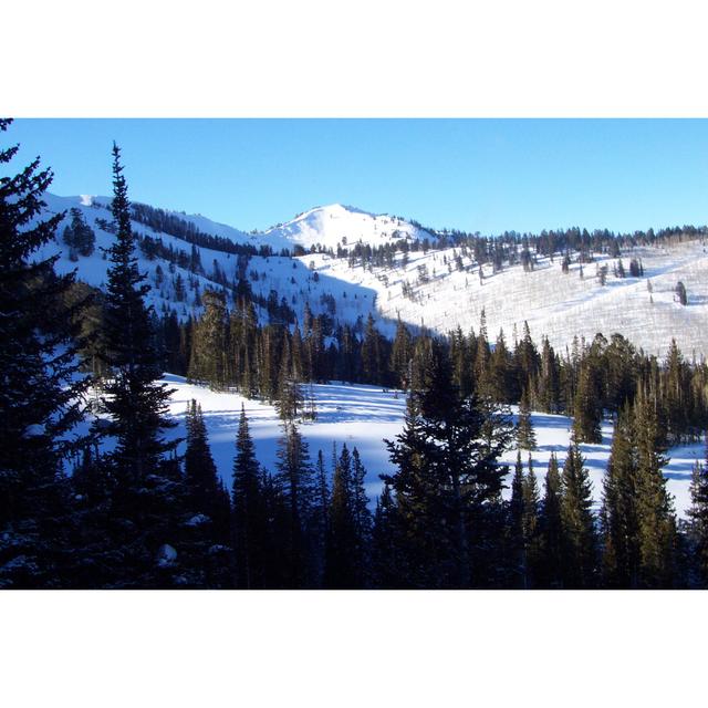 Mountain Scenic With Tree Shilloete In The Foreground by Yoshimedia - Wrapped Canvas Print Union Rustic Size: 20cm H x 30cm W x 3.8cm D on Productcaster.