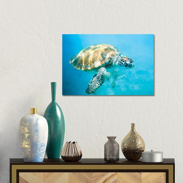 Sea Turtle I Highland Dunes Format: Canvas, Size: 30.48cm H x 45.72cm W x 1.905cm D on Productcaster.