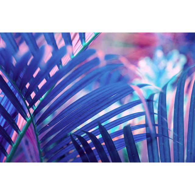 Neon Colored Palm Tree Leaves by Andrey Danilovich - No Frame Art Prints on Canvas 17 Stories Size: 61cm H x 91cm W on Productcaster.