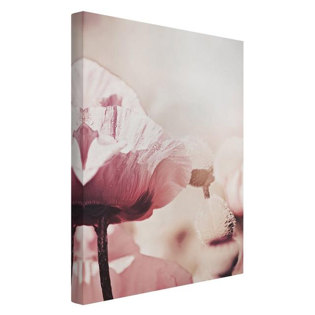 Delicate Pink Poppy with Water Droplets - Wrapped Canvas Photograph Ebern Designs Format: 260g/m² Canvas, Colour: Pink, Size: 60cm H x 40cm W on Productcaster.