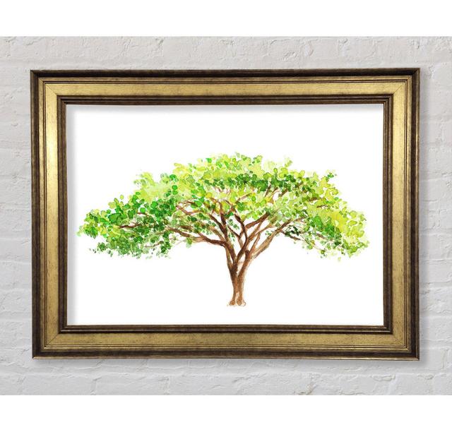 Green Tree In The Savannah - Single Picture Frame Art Prints Bright Star Size: 29.7cm H x 42cm W x 8cm D on Productcaster.