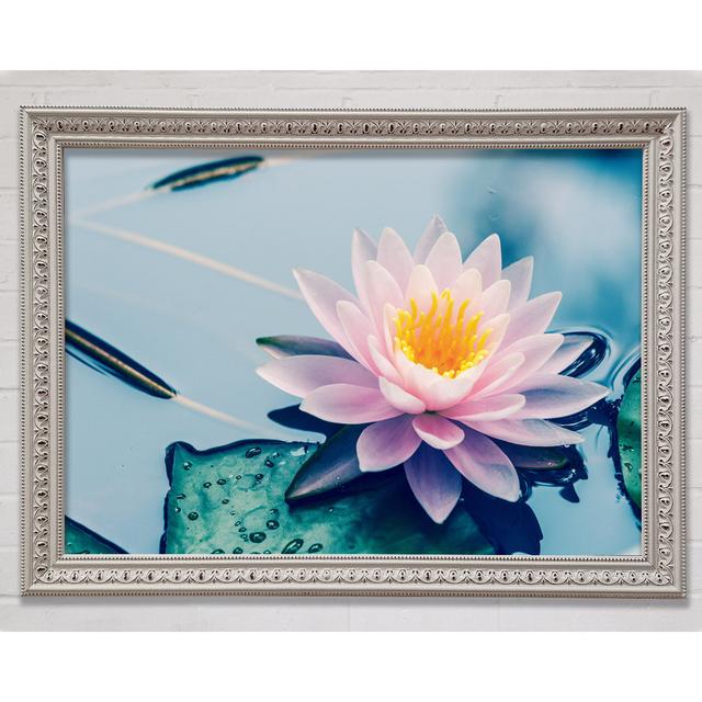 Lotus On The Lake Close Up - Single Picture Frame Art Prints Bright Star Size: 84.1cm H x 118.9cm W x 3cm D on Productcaster.