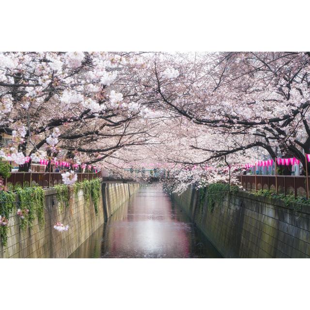 Cherry Blossom in Tokyo - Wrapped Canvas Photograph Latitude Run Size: 61cm H x 91cm W on Productcaster.