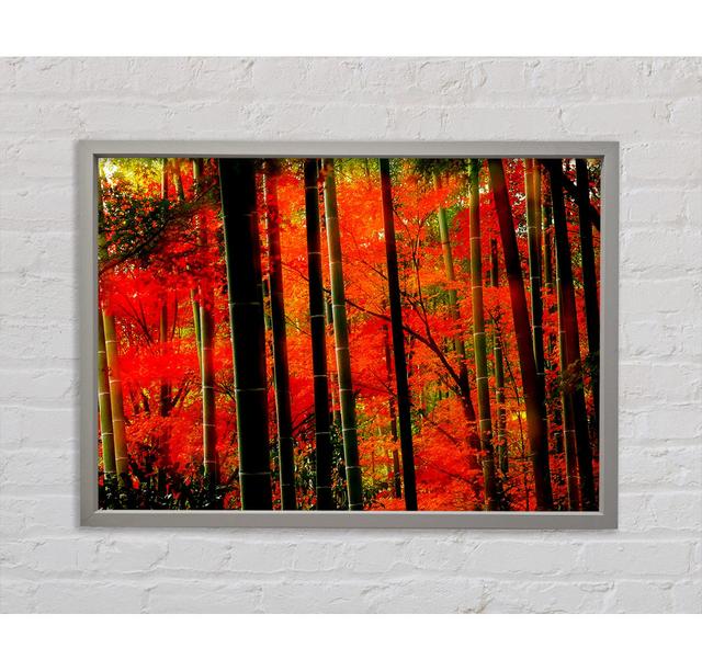 Red Autumn Forest Framed Print Bright Star Size: 59.1cm H x 84.1cm W x 3.3cm D on Productcaster.