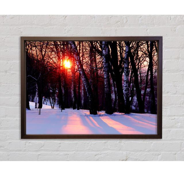 Winter Woodland Sun Framed Print Bright Star Size: 59.7cm H x 84.1cm W on Productcaster.