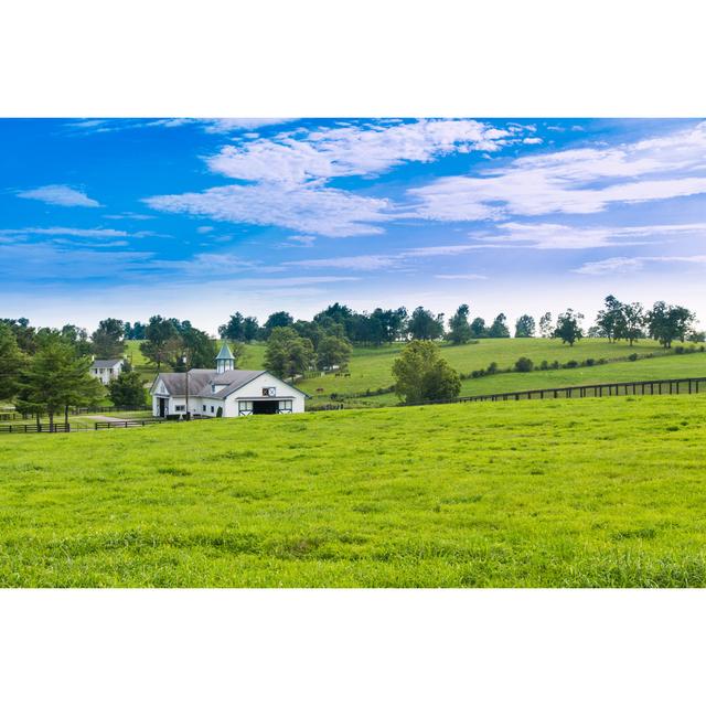 Green Pastures of Horse Farms by Volgariver - Wrapped Canvas Photograph Brambly Cottage Size: 20cm H x 30cm W on Productcaster.