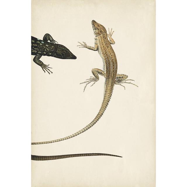 Lizard Diptych II by Vision Studio - Wrapped Canvas Painting Rosalind Wheeler Size: 46cm H x 30cm W on Productcaster.