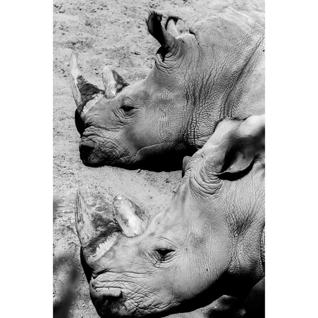 Rhino Double - Wrapped Canvas Print Latitude Run Size: 30cm H x 20cm W x 3.8cm D on Productcaster.