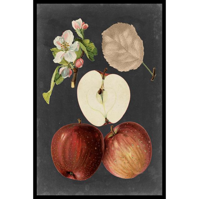 Midnight Harvest I by Vision Studio - Wrapped Canvas Art Prints August Grove Size: 91cm H x 61cm W on Productcaster.