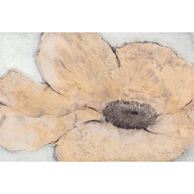 Transparency Flower IV by Tim OToole - Wrapped Canvas Painting Rosalind Wheeler Size: 20cm H x 30cm W x 3.8cm D on Productcaster.