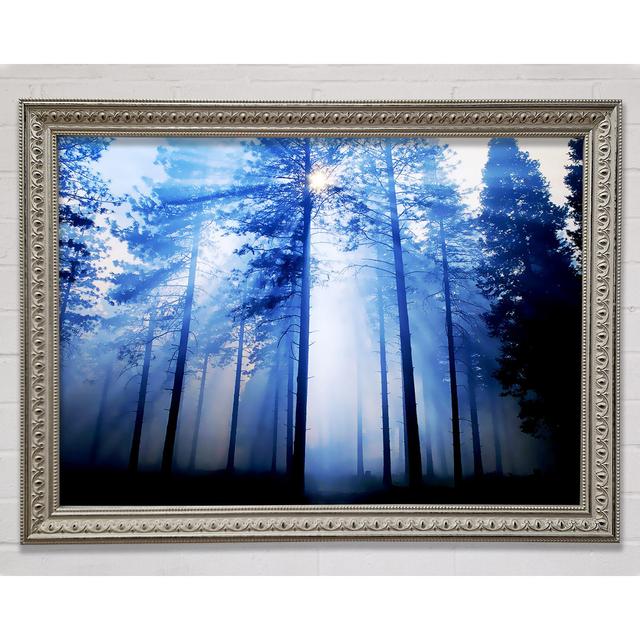 Sunlight Mist Through The Trees - Single Picture Frame Art Prints Bright Star Size: 59.7cm H x 84.1cm W on Productcaster.