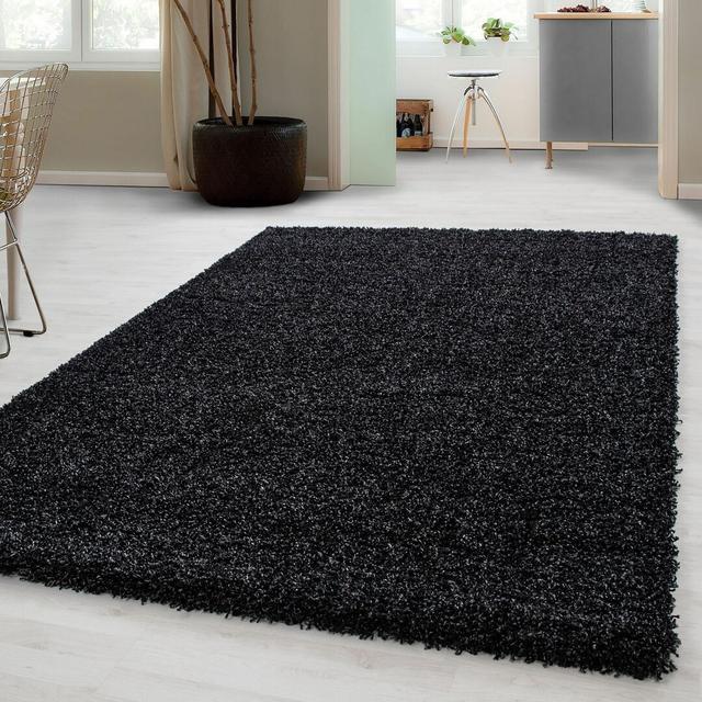 Bryant Dark Grey Area Rug Etta Avenue Rug Size: Runner 60 x 220cm on Productcaster.