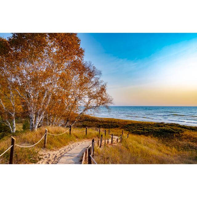 Collegedale Autumn At Lake Michigan by Katie Berdan Wolden - Wrapped Canvas Print Alpen Home Size: 51cm H x 76cm W x 3.8cm D on Productcaster.