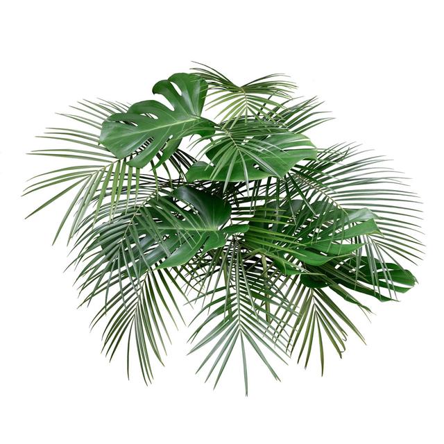 Leinwandbild Monstera and Tropical Palm Leaves Sansibar Home Größe: 122 cm H x 122 cm B x 3,8 cm T on Productcaster.