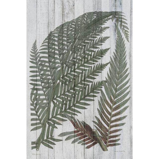 Rustic Greenery I by Studio W - Wrapped Canvas Graphic Art August Grove Size: 76cm H x 51cm W x 3.8cm D on Productcaster.