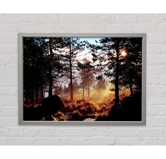 Day Break In The Forest - Print Union Rustic Size: 59.7cm H x 84.1cm W on Productcaster.