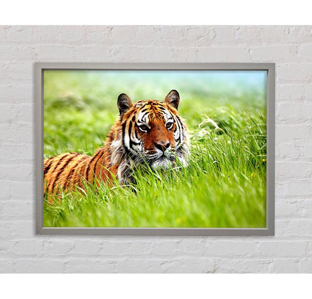 Amazing Siberian Tiger - Single Picture Frame Art Prints on Canvas Bright Star Size: 84.1cm H x 118.9cm W x 3.3cm D on Productcaster.