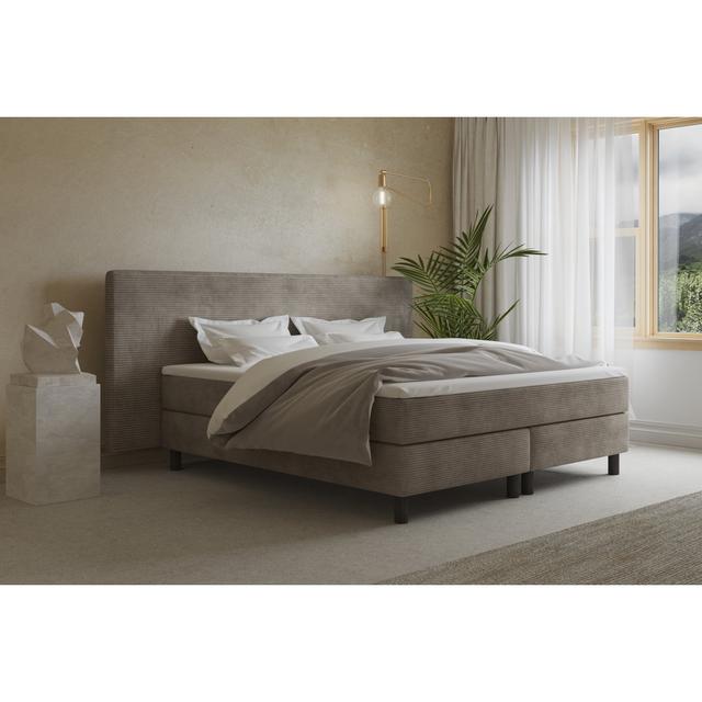 Echtes Boxspringbett Donatella mit Kaltschaum Topper, mit Cord Stoff bezogen Soft & Co. Farbe: Grau/Hellbeige, Matratzenhärte: H2 - bis zu ca. 75 kg / on Productcaster.