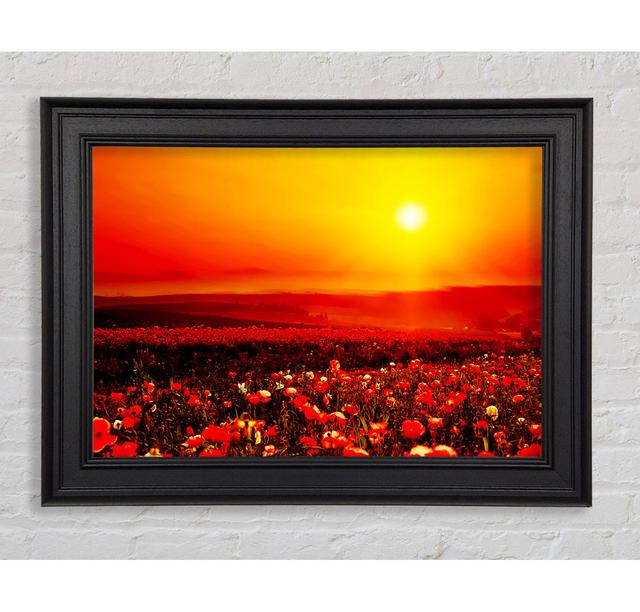 Poppy Field Mist Framed Print Ebern Designs Size: 29.7cm H x 42cm W on Productcaster.