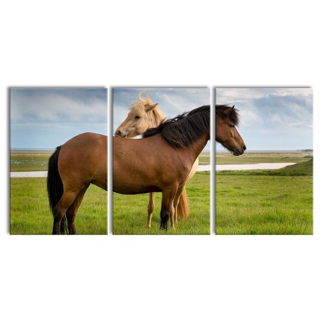 Two Horses In A Meadow - 3 Piece Wrapped Canvas Print East Urban Home Size: 120cm H x 240cm W on Productcaster.