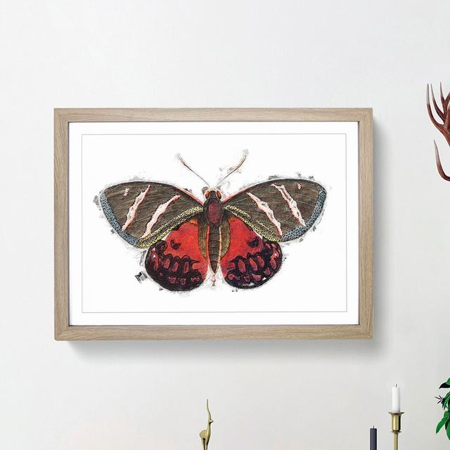 Icarus Moth by George Shaw - Picture Frame Painting Print East Urban Home Frame Option: Oak Framed, Size: 27cm H x 36cm W x 2cm D on Productcaster.