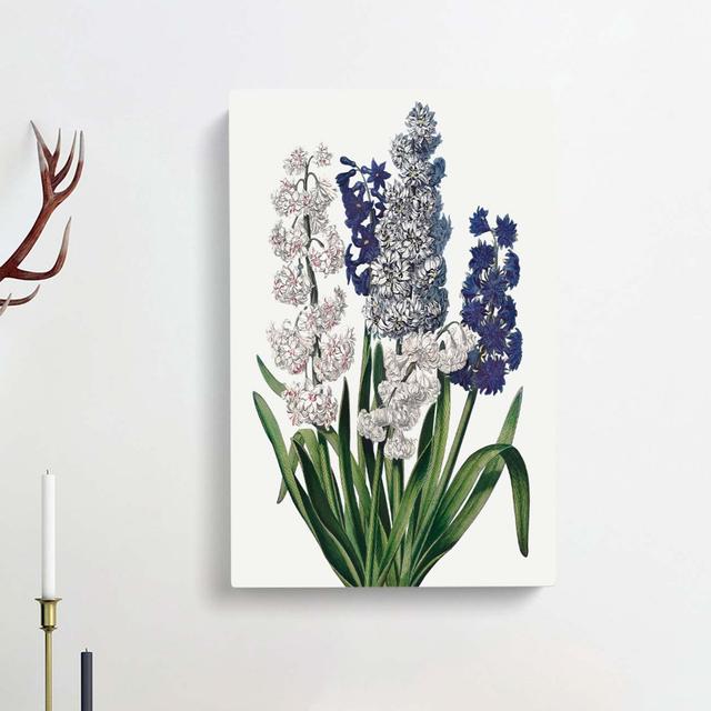 Hyacinth Flowers by R.J. Thornton - Wrapped Canvas Painting Print East Urban Home Size: 60cm H x 40cm W x 3cm D on Productcaster.