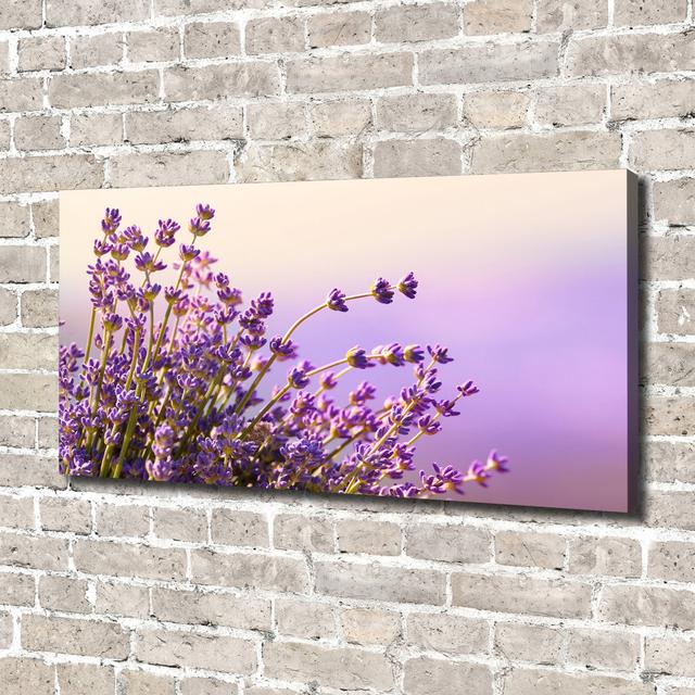 Lavender - Unframed Photograph on Canvas Brayden Studio Size: 70cm H x 140cm W x 2cm D, Format: Canvas on Productcaster.