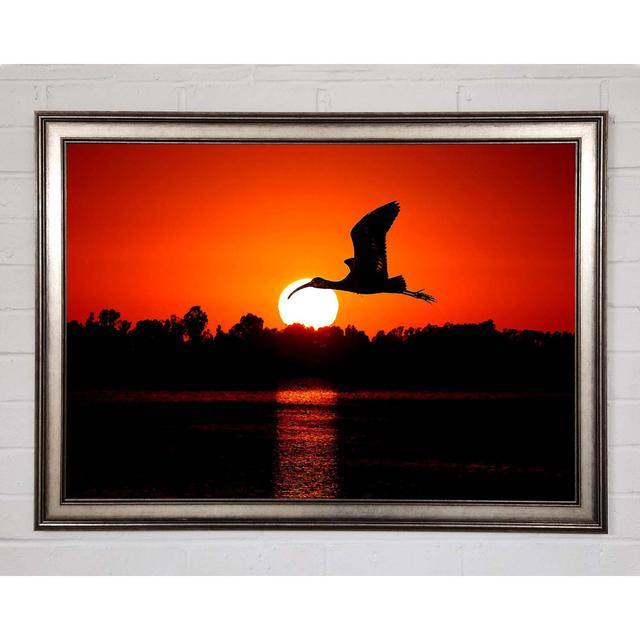 Vogel fliegt bei Sonnenuntergang - Einzelner Bilderrahmen Kunstdrucke Brayden Studio Größe: 59,7 cm H x 84,1 cm B x 1,5 cm T on Productcaster.