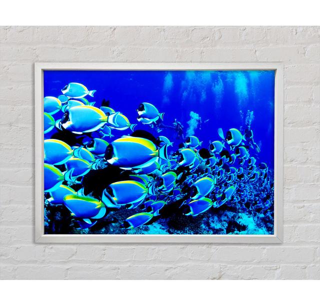 Ocean Fun - Single Picture Frame Art Prints on Canvas Bright Star Size: 59.7cm H x 84.1cm W x 3.3cm D on Productcaster.