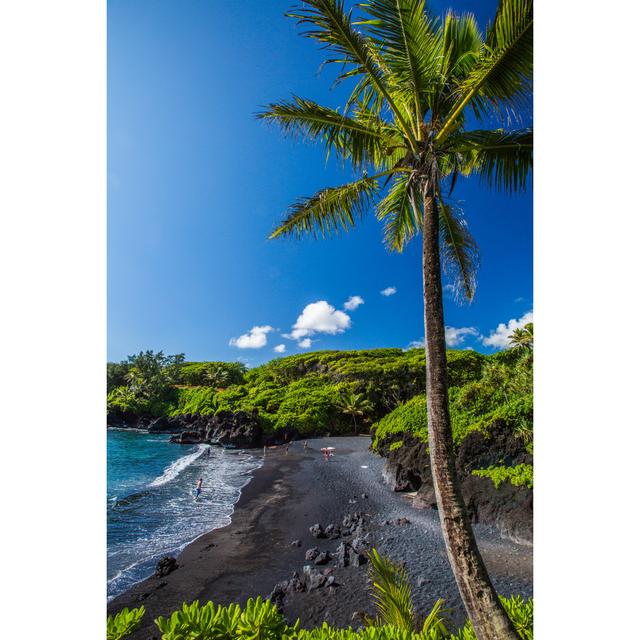 Waianapapa State Park, Maui House of Hampton Size: 76cm H x 51cm W on Productcaster.