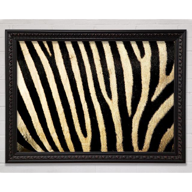 Zebra Pattern Framed Print Bright Star Size: 59.7cm H x 84.1cm W on Productcaster.