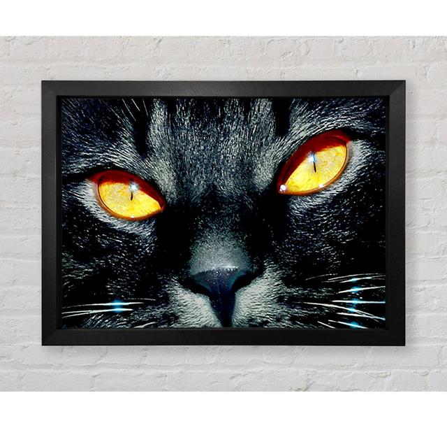 Cats Eyes - Print Ebern Designs Size: 100cm H x 141.4cm W x 3.4cm D on Productcaster.