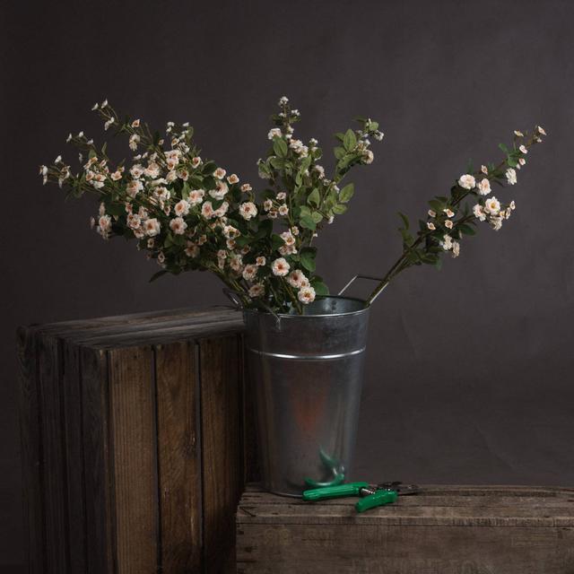 Wild Meadow Rose Stem The Seasonal Aisle Flower Colour: Cream on Productcaster.