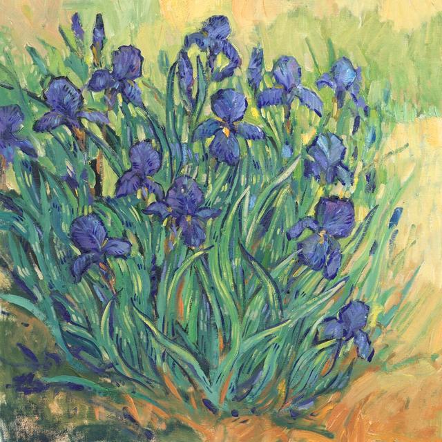 Irises in Bloom II by Timothy O' Toole - Wrapped Canvas Painting Rosalind Wheeler Size: 76cm H x 76cm W x 3.8cm D on Productcaster.