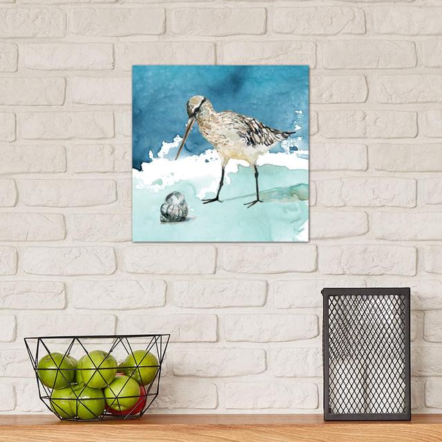 Delray Sandpiper II by Carol Robinson - Wrapped Canvas Painting Print House of Hampton Size: 30.48cm H x 30.48cm W x 1.91cm D on Productcaster.