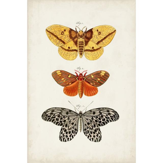 Vintage Butterflies IV - Wrapped Canvas Painting August Grove Size: 30cm H x 20cm W x 3.8cm D on Productcaster.