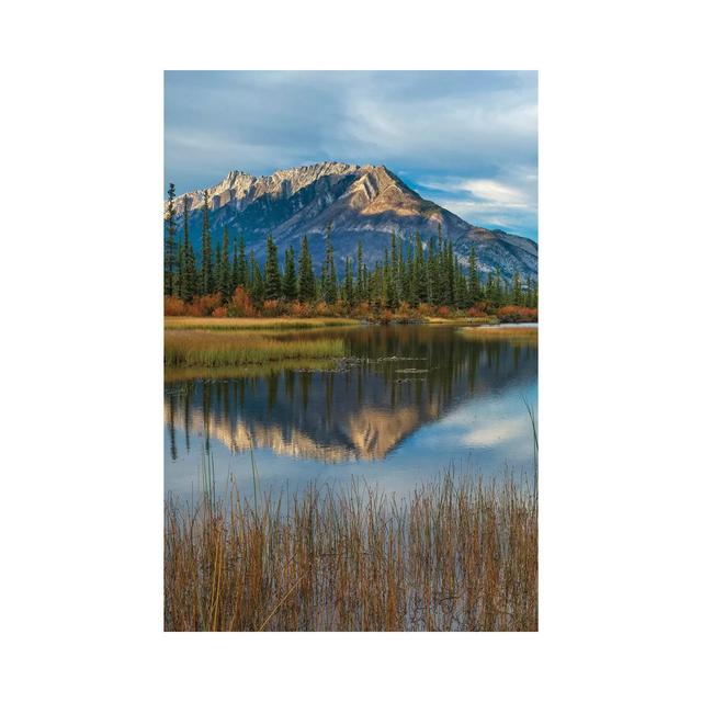 Taiga and Peaks, Moberly Flats, De Smet Range, Rocky Mountains, Jasper National Park, Alberta, Canada by Tim Fitzharris - Wrapped Canvas Photograph Cl on Productcaster.