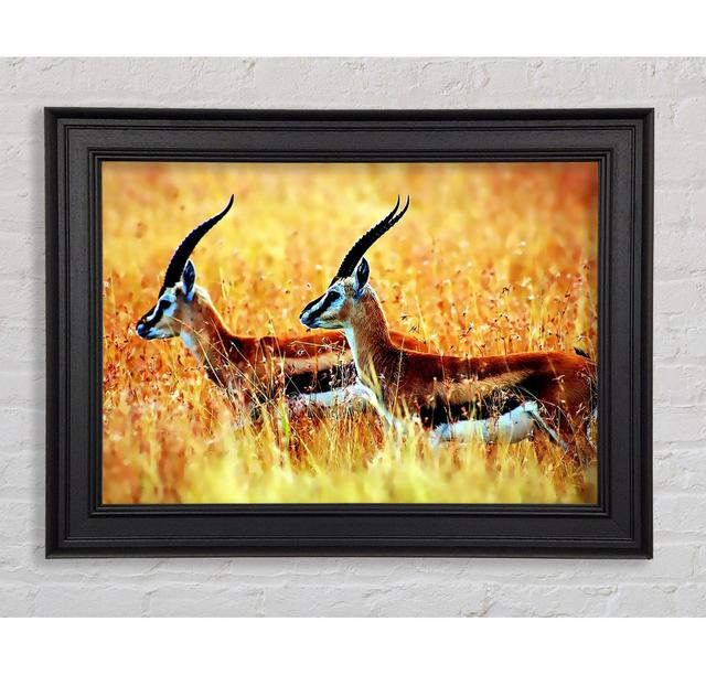 Single Picture Frame Art Prints Union Rustic Size: 84.1cm H x 142.2cm W on Productcaster.