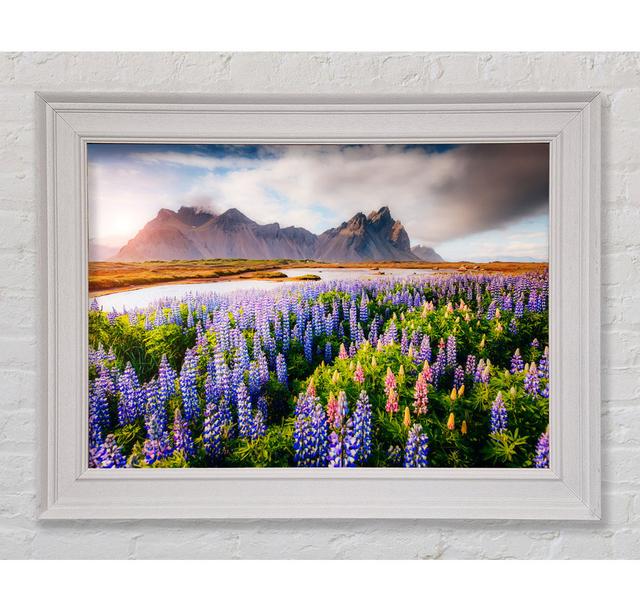 Loopins In The Forest - Single Picture Frame Art Prints Ebern Designs Size: 84.1cm H x 118.9cm W on Productcaster.