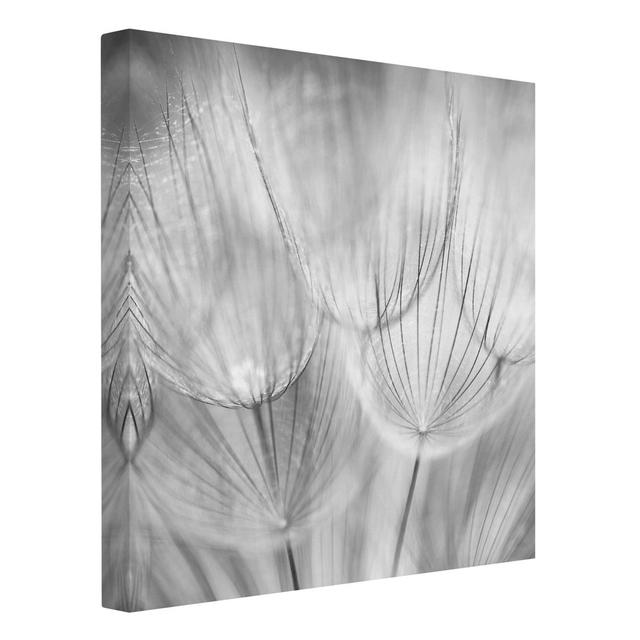 Dandelion Macro Shot - Wrapped Canvas Graphic Art Ebern Designs on Productcaster.