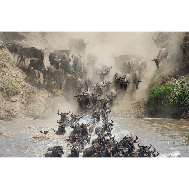 Wildebeests Crossing The River - Wrapped Canvas Print Ebern Designs Size: 51cm H x 76cm W on Productcaster.